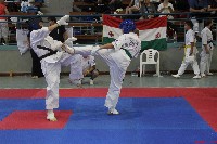 II. Össz Kyokushin Karate Világbajnokság