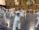 VI. „The Legend” Bódi Sensei szeminárium a SESE-ben