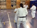 VI. „The Legend” Bódi Sensei szeminárium a SESE-ben