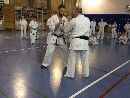 VI. „The Legend” Bódi Sensei szeminárium a SESE-ben