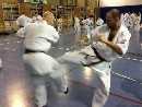 VI. „The Legend” Bódi Sensei szeminárium a SESE-ben