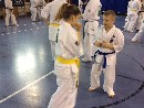 VI. „The Legend” Bódi Sensei szeminárium a SESE-ben