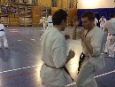 VI. „The Legend” Bódi Sensei szeminárium a SESE-ben