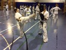 VI. „The Legend” Bódi Sensei szeminárium a SESE-ben