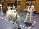 VI. „The Legend” Bódi Sensei szeminárium a SESE-ben