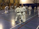 VI. „The Legend” Bódi Sensei szeminárium a SESE-ben