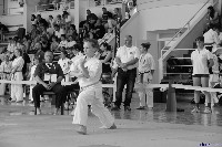 VI. Tadashii Kupa