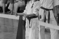 VI. Tadashii Kupa