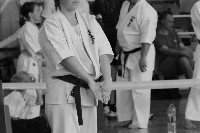VI. Tadashii Kupa