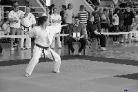 VI. Tadashii Kupa