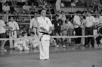 VI. Tadashii Kupa