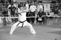 VI. Tadashii Kupa