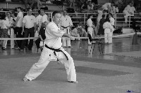 VI. Tadashii Kupa