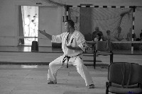 VI. Tadashii Kupa