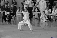 VI. Tadashii Kupa