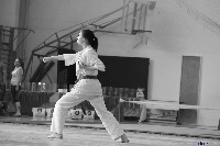 VI. Tadashii Kupa