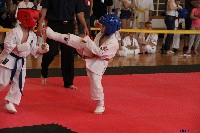 VI. Tadashii Kupa