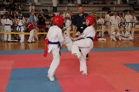 VI. Tadashii Kupa