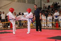 VI. Tadashii Kupa