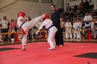 VI. Tadashii Kupa