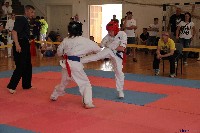 VI. Tadashii Kupa