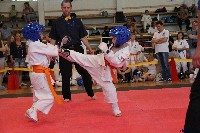 VI. Tadashii Kupa