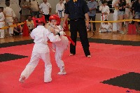 VI. Tadashii Kupa
