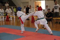 VI. Tadashii Kupa