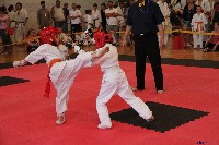 VI. Tadashii Kupa