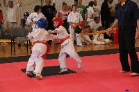 VI. Tadashii Kupa