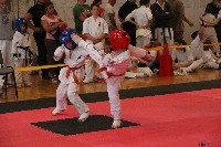 VI. Tadashii Kupa