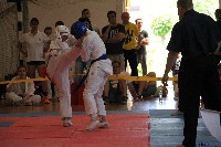 VI. Tadashii Kupa