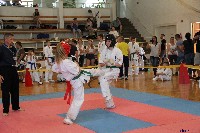 VI. Tadashii Kupa