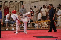 VI. Tadashii Kupa