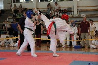 VI. Tadashii Kupa