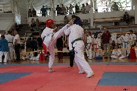 VI. Tadashii Kupa