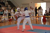 VI. Tadashii Kupa