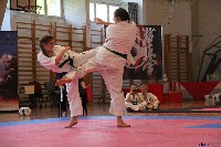 VI. Tadashii Kupa
