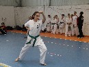 XI. Zemplén Kupa