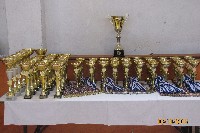 XVI. NAGYKUN KUPA