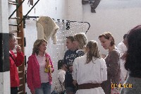XVI. NAGYKUN KUPA