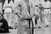 KYOKUSHIN KARATE KNOCK-DOWN DIÁKOLIMPIA