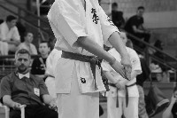 KYOKUSHIN KARATE KNOCK-DOWN DIÁKOLIMPIA