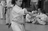 KYOKUSHIN KARATE KNOCK-DOWN DIÁKOLIMPIA