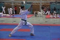 KYOKUSHIN KARATE KNOCK-DOWN DIÁKOLIMPIA