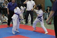 KYOKUSHIN KARATE KNOCK-DOWN DIÁKOLIMPIA