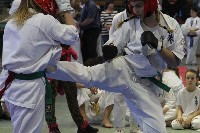 KYOKUSHIN KARATE KNOCK-DOWN DIÁKOLIMPIA