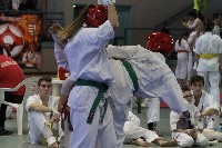 KYOKUSHIN KARATE KNOCK-DOWN DIÁKOLIMPIA