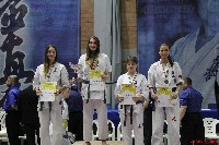 KYOKUSHIN KARATE KNOCK-DOWN DIÁKOLIMPIA