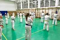 Sensei Gottfried Sándor ismét Seishin Dojoban